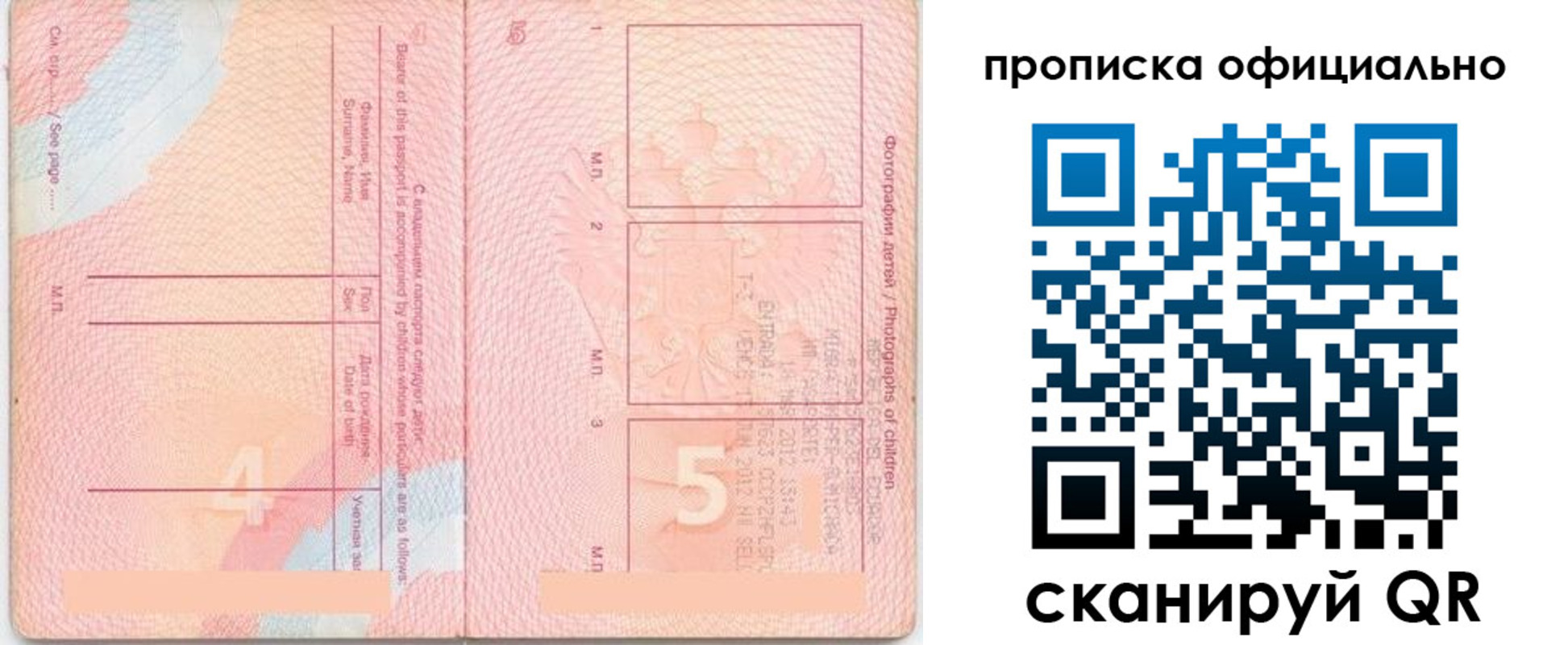 прописка для школы в Дальнегорске